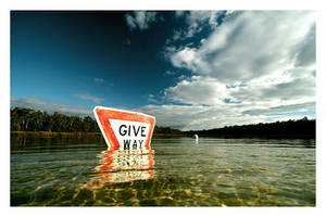 the occasional stunned mullet by bryan-cuttance