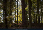 Felsenland 19 by kuschelirmel-stock