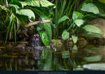 Lilly Leaves 02 by kuschelirmel-stock