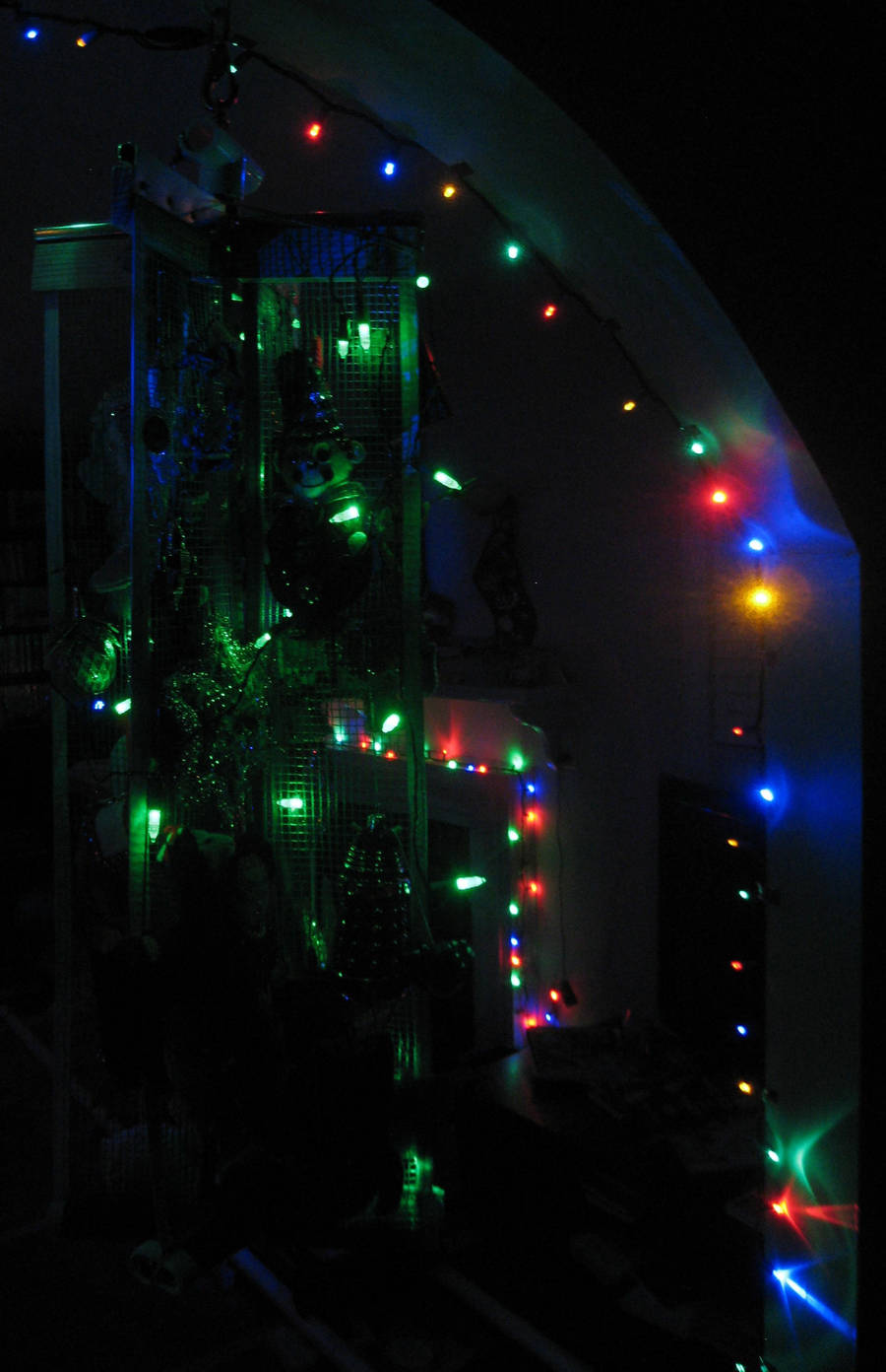 Holiday Kelp Forest by dhorlick
