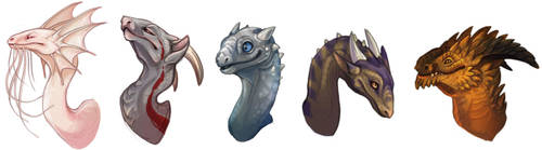 His Majesty's Dragons 2 by AbelPhee