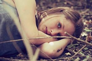 clarifications by sweetwildlight