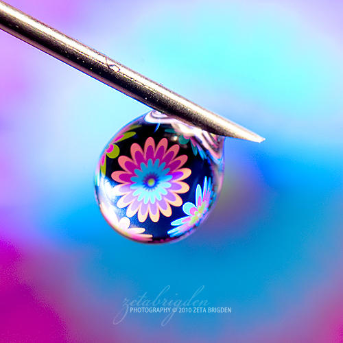 Trijection by KittiesGoShoot