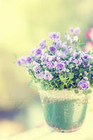 we belong together by ivadesign