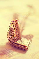 my heart beats for you by ivadesign