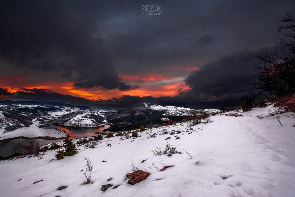 ownernov 3, 2016 hobbyist general artist         great glooming