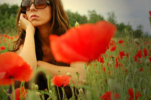 Fight the Start. by Wohooo3