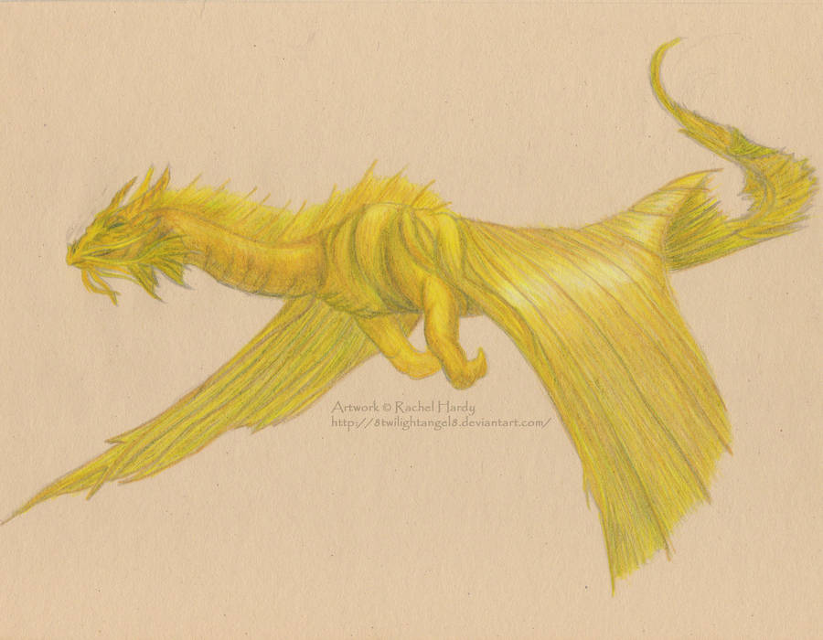 Gold Dragon in Flight by 8TwilightAngel8