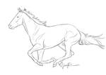 Sketch: the Queen of Racing by Greatalmightyqueen