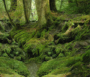 FOREST BACKGROUND by mysticmorning