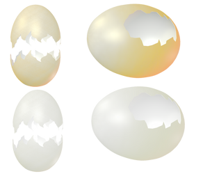 Egg Shells png by mysticmorning