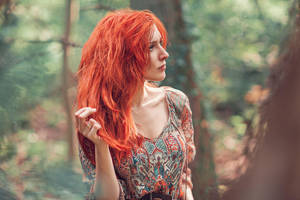 Felt Mountain by MissSouls