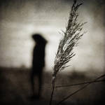V i s i t II by ZanaSoul