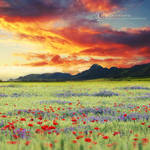 It's a beautiful day. by ZanaSoul