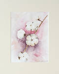 cotton by IngaLinder