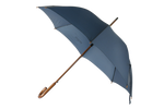 FREE PNG Umbrella by AbsurdWordPreferred