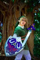 LoZ - Hero of Hyrule by Miyukiko