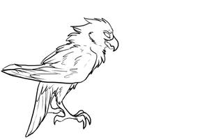 Bird lineart by feathursadopts on DeviantArt