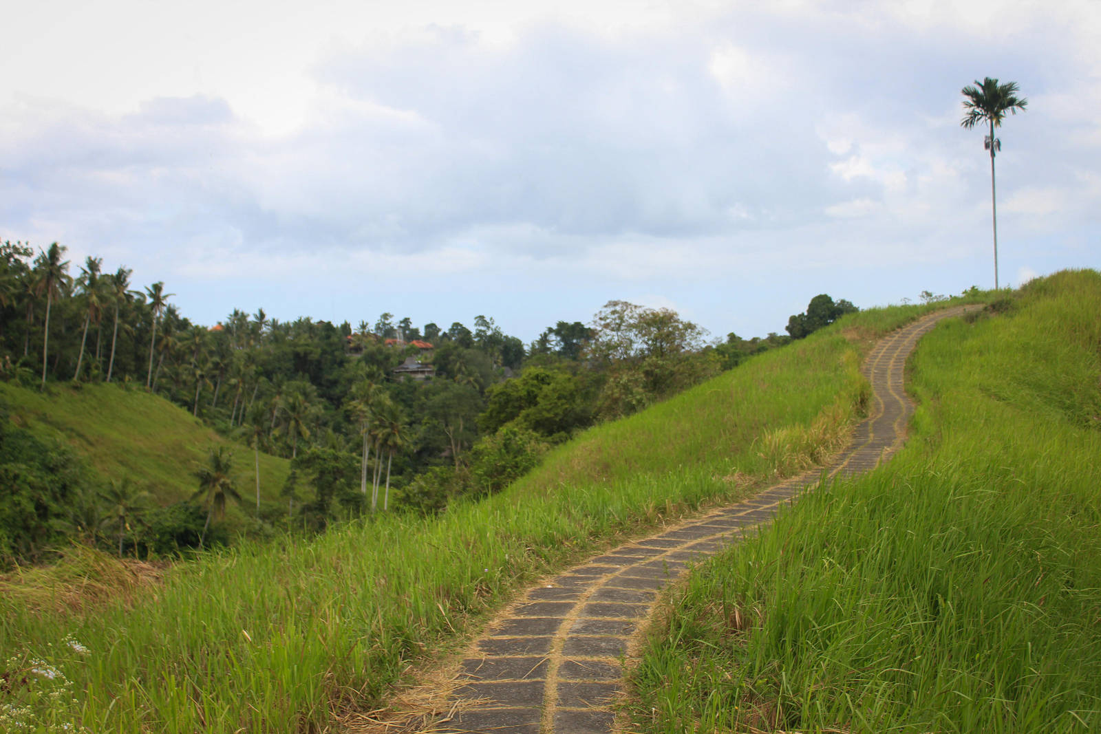Ubud Ridge Walk by ProfSmiles on DeviantArt