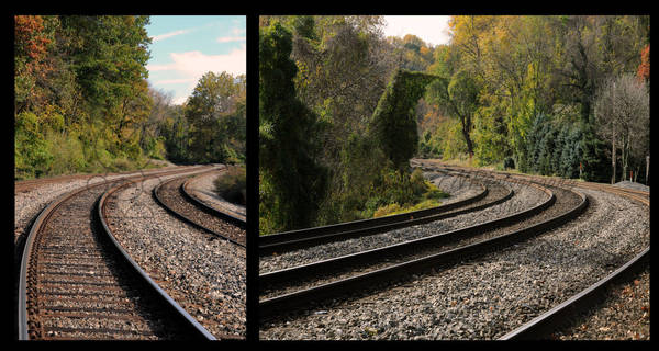 Two Tracks Diverged by FanFrye24