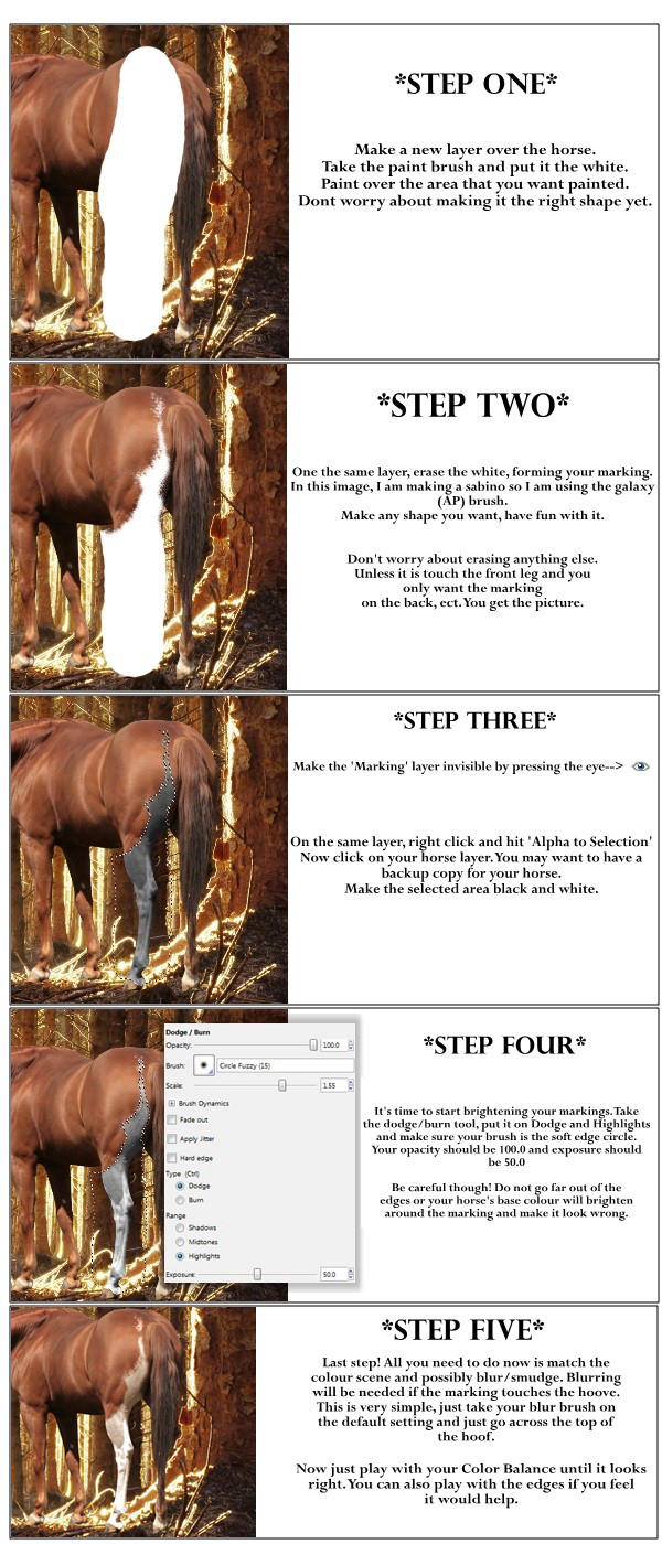 Horse Marking Tutorial by Azaroe on DeviantArt