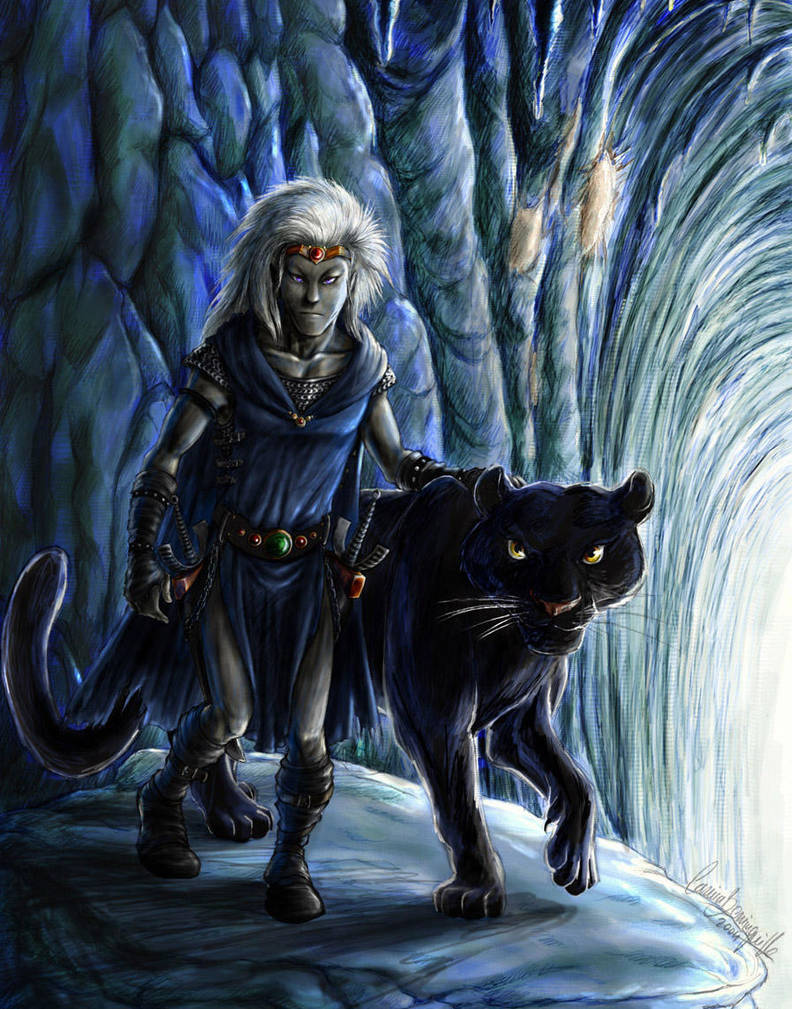 Concept of Drizzt by AniHime