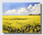 Prairie Gold by artsyone39