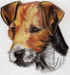 Jack Russell Terrier by sassie-kay