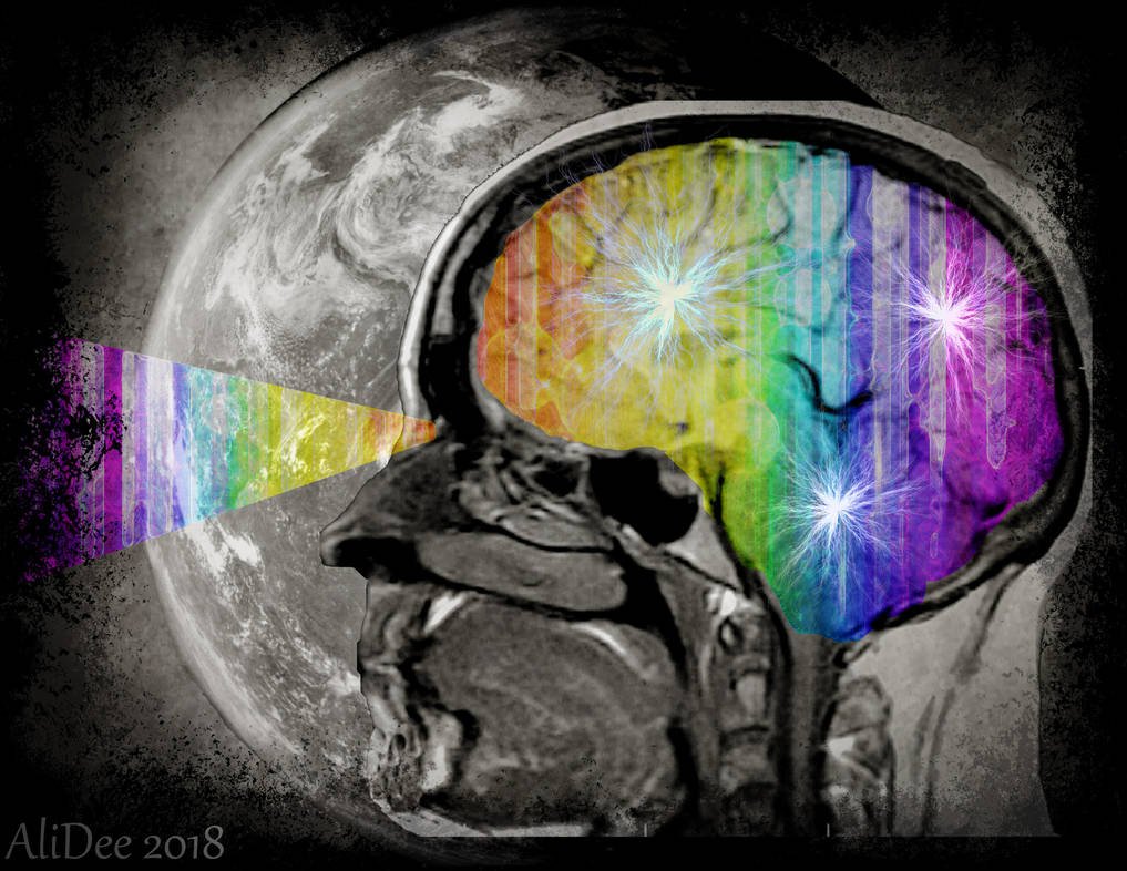 Visions of Color in a Grey World by AliDee33