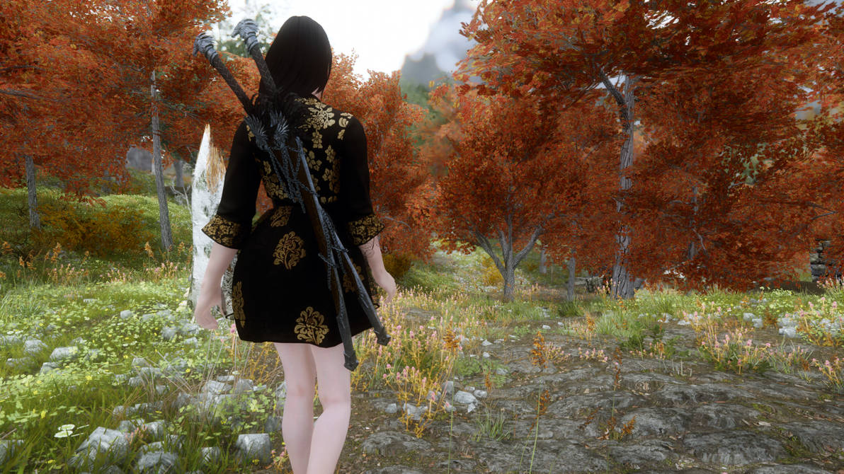 Elder Scrolls V Skyrim By Spectre 55 On Deviantart