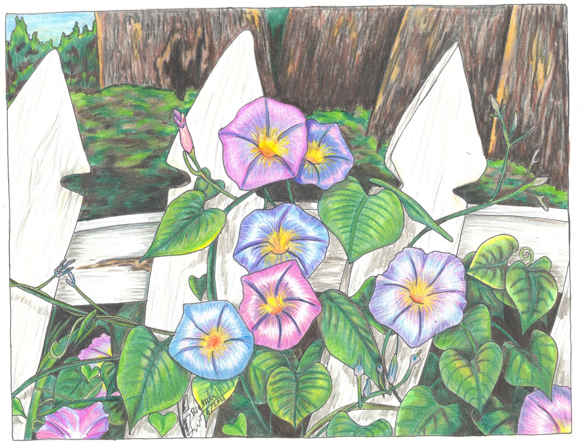 Morning Glories for Gloria by Black-Feather