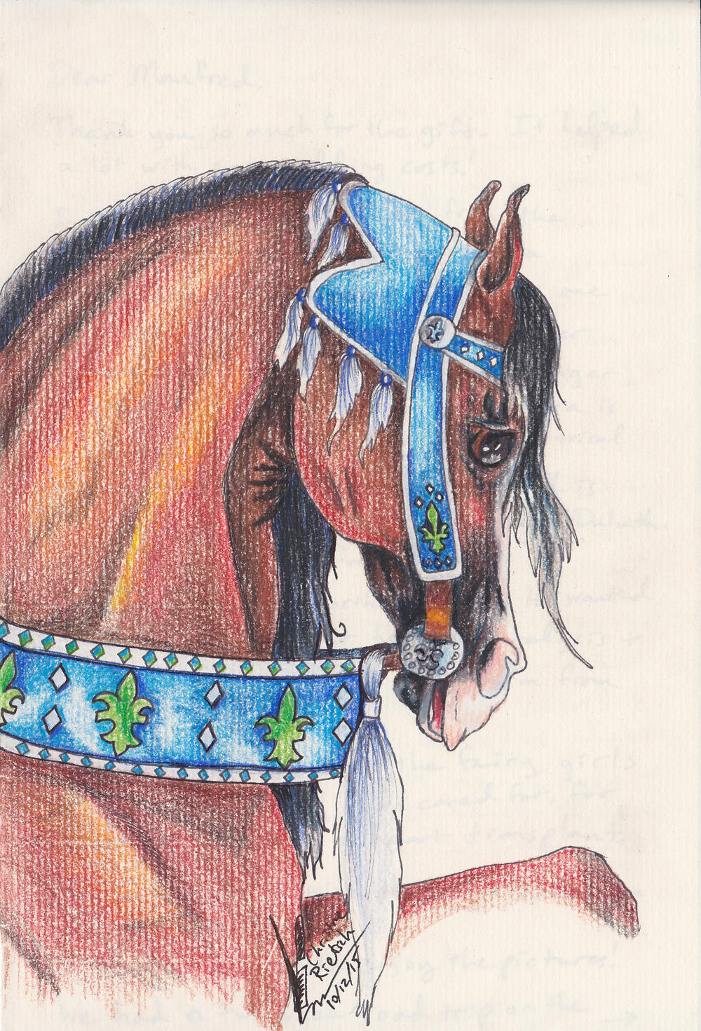 Arabian in Mideaval Costume by Christine Rietsch by Black-Feather