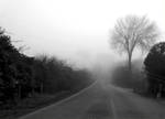 Winter fog by frank74it