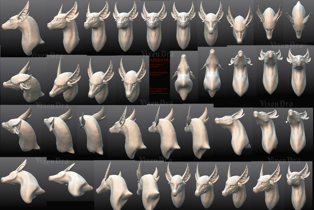 Askentil species' head sculpture - master source by VixenDra Askentil species' head sculpture - master source by VixenDra