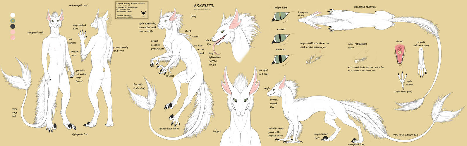 Tom as Askentil (ASKENTIL0000T) by VixenDra Tom as Askentil (ASKENTIL0000T) by VixenDra