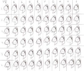 Muzzle Shapes Reference by DarkFlame75