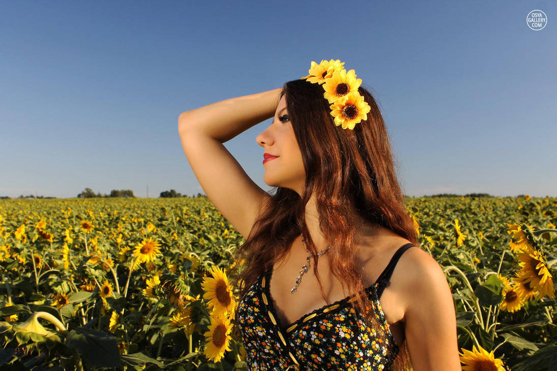 Sunflowers 3 by Enolla