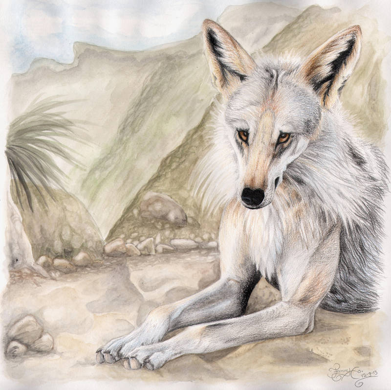 Arabian Wolf by LarimarDragon