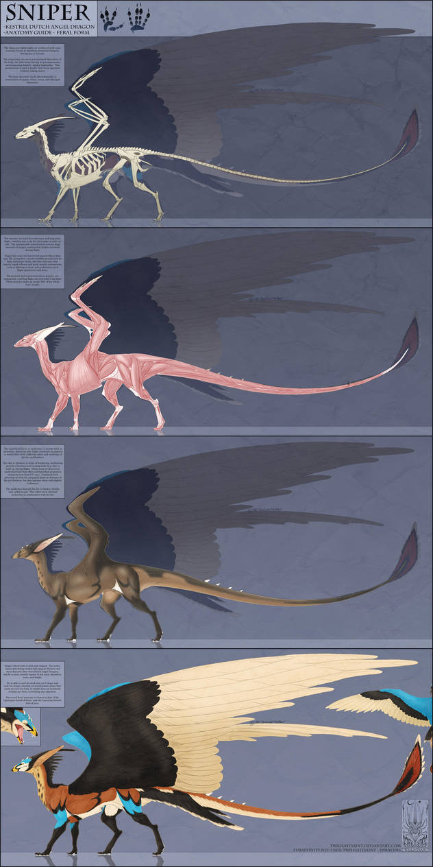 Personal - Sniper Anatomy Reference by TwilightSaint on ...