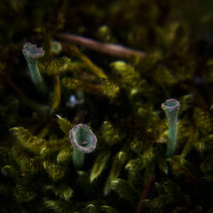 Unknown World by Mocris Unknown World by Mocris