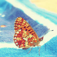 Macro painting by Iulia-Oprinesc