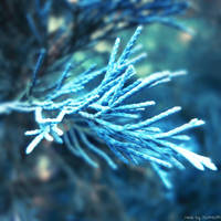 cold's touch by Iulia-Oprinesc