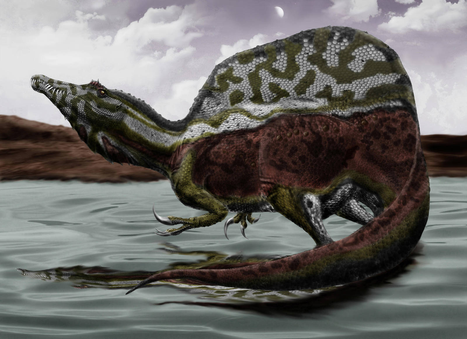 Spinosaurus Aegyptiacus by Durbed