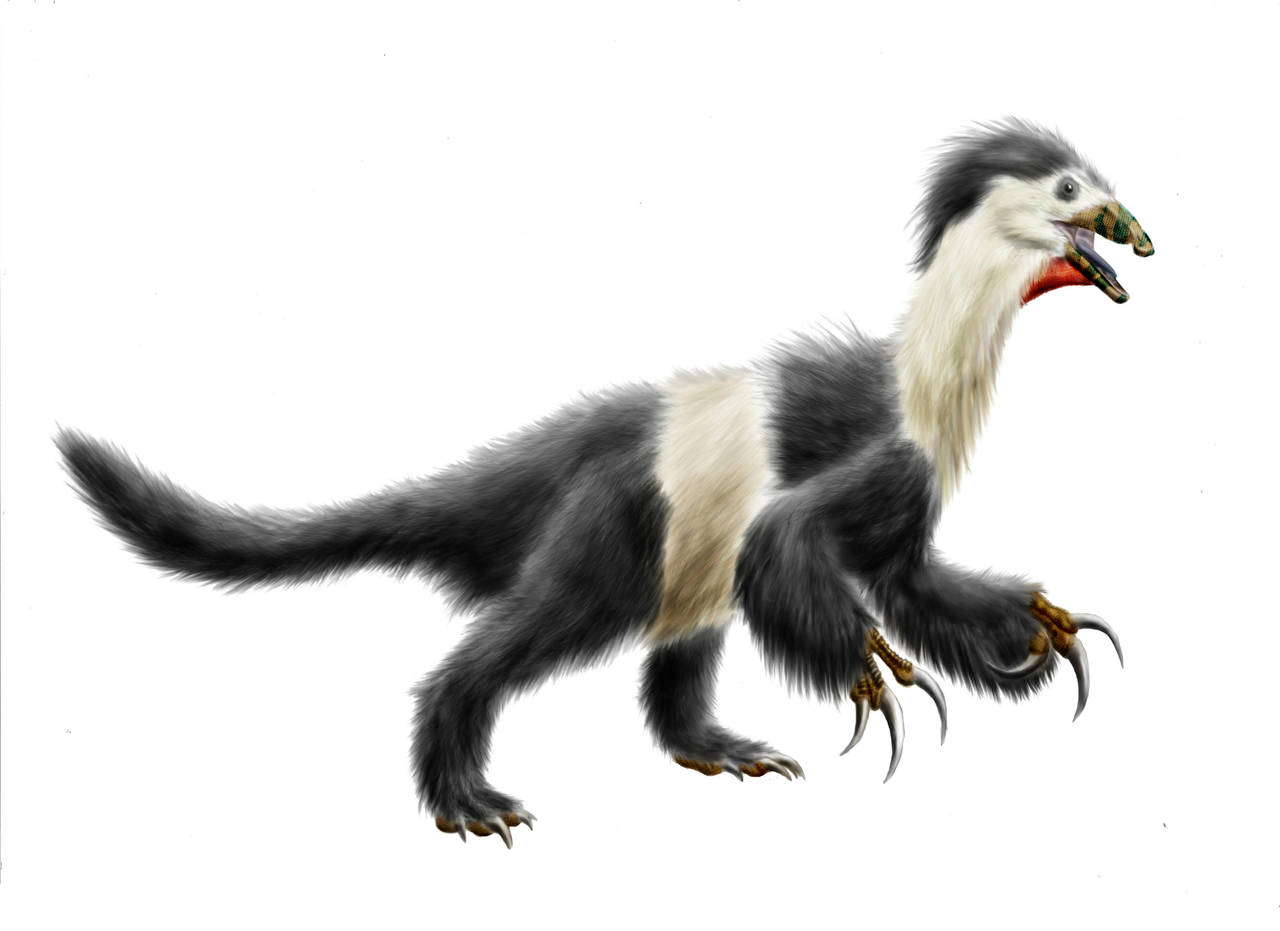 Beipiaosaurus inexpectus by Durbed