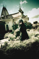 vampire by turbobacon