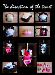 The dissection of the toast by FrealaF