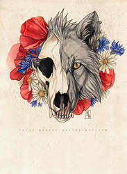 Wild flowers by wolf-minori