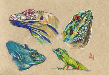 Lizard study by wolf-minori
