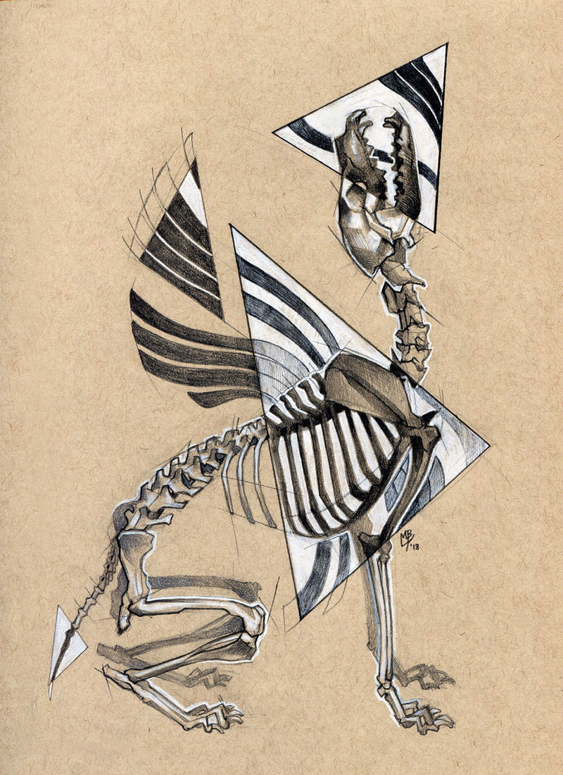 Skelevolf by wolf-minori