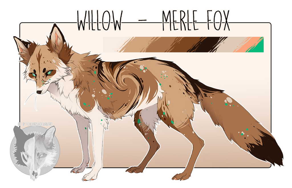 Willow reference sheet 2018 by foxchirps
